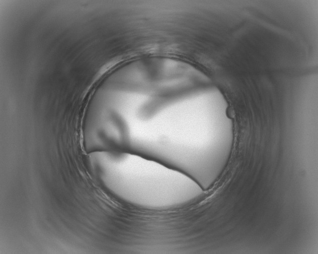 X0000082151170200701191016