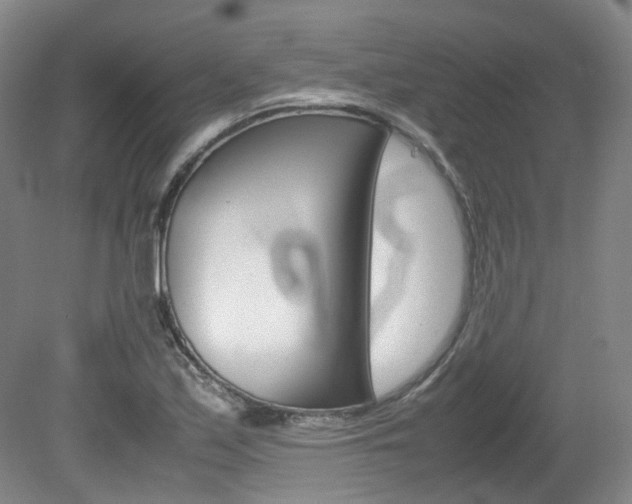 X0000082151171200701191016