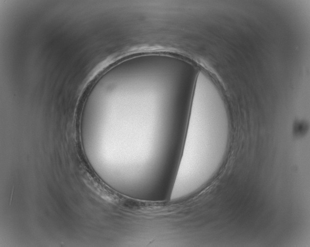 X0000082151173200701191016