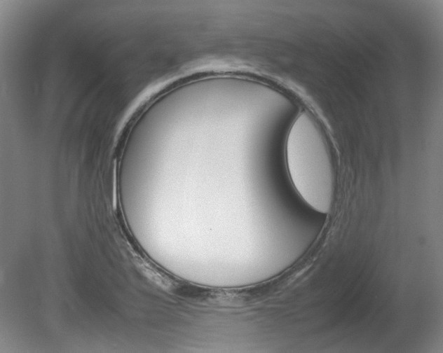 X0000082151175200701191016