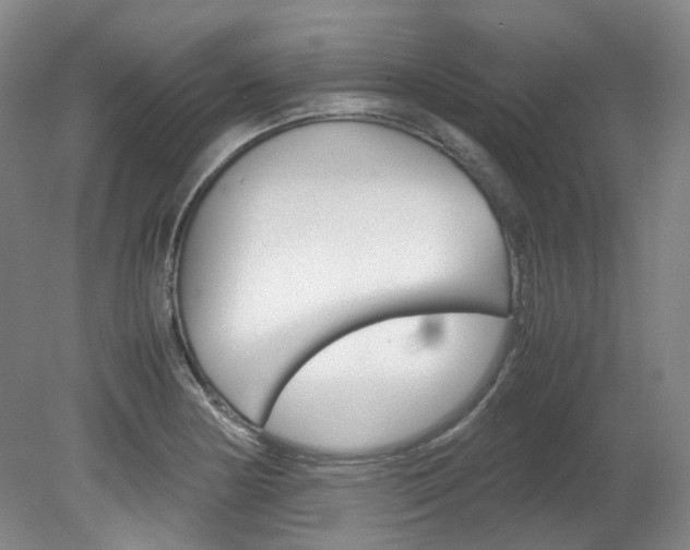 X0000082151178200701191016