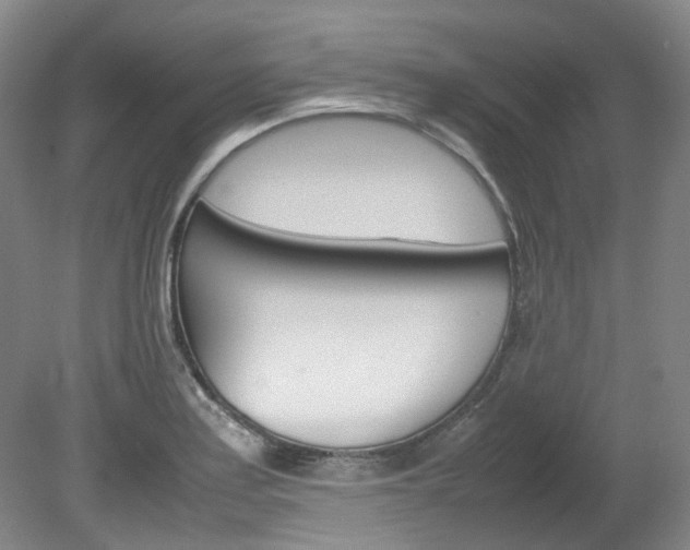 X0000082151179200701191016