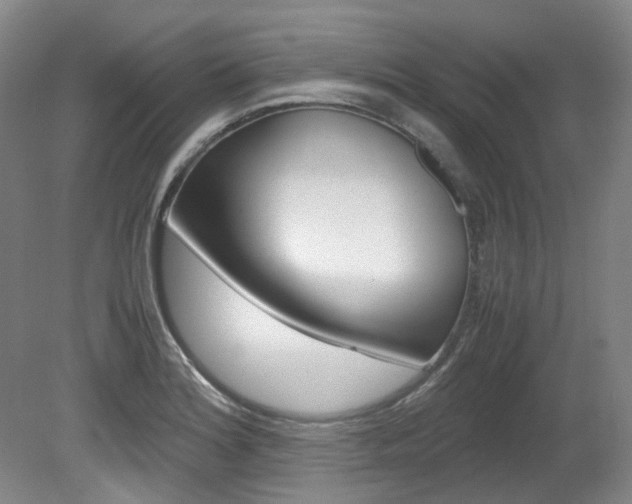 X0000082151180200701191016