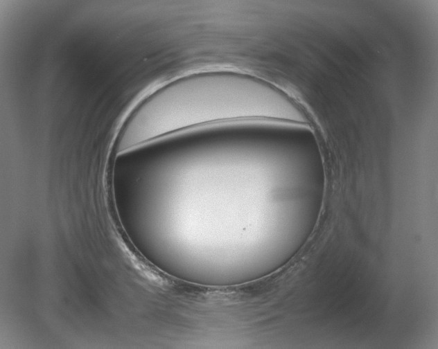 X0000082151181200701191016