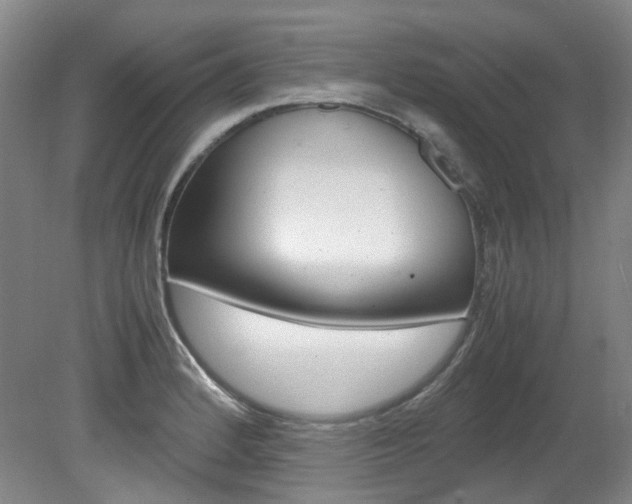 X0000082151184200701191016