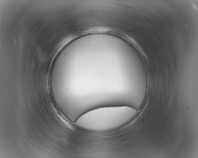 X0000082151186200701191016