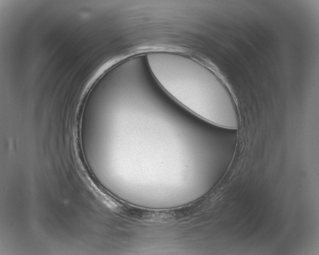 X0000082151187200701191016