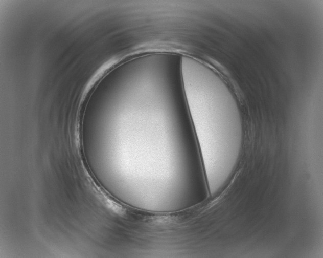 X0000082151188200701191016