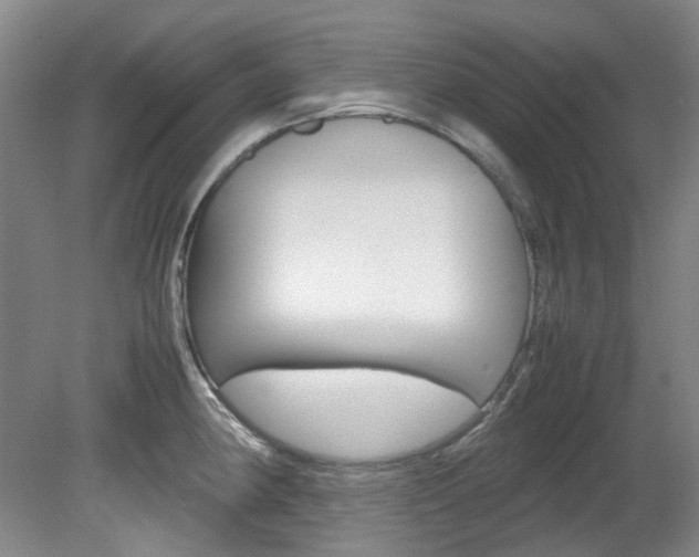 X0000082151190200701191015