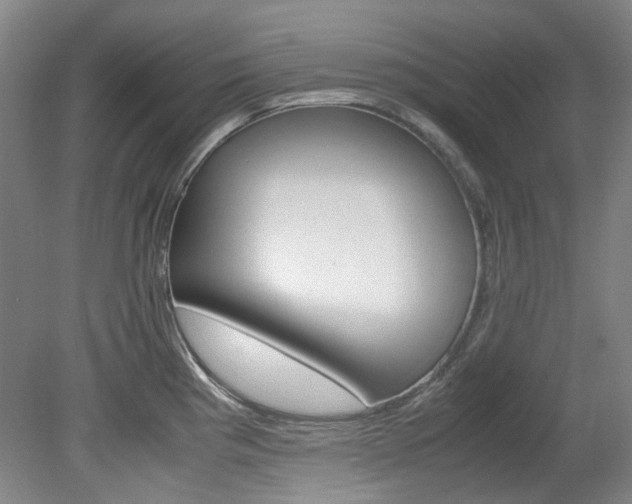 X0000082151193200701191015