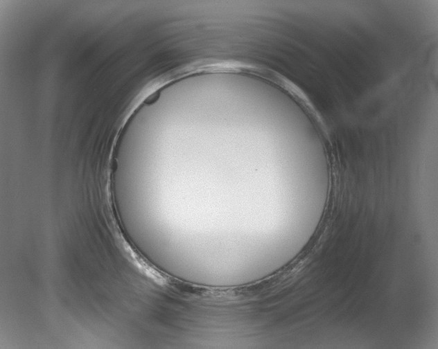 X0000082151194200701191015