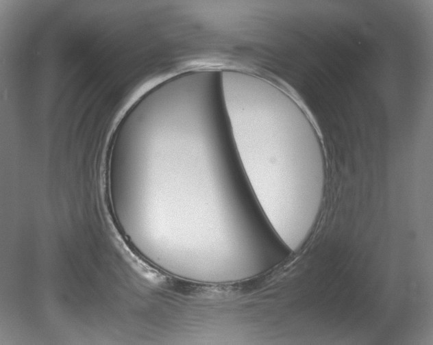 X0000082151195200701191015