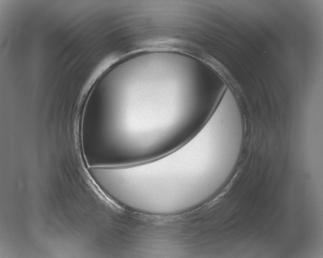 X0000082151196200701191015