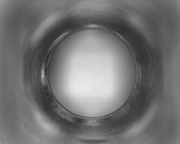 X0000082151198200701191015
