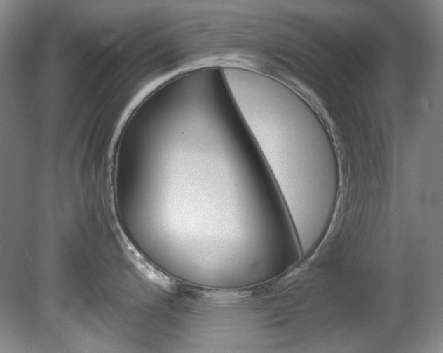 X0000082151200200701191015