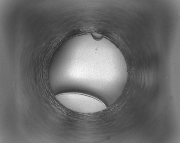 X0000082151201200701191015