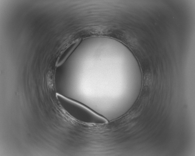 X0000082151202200701191015
