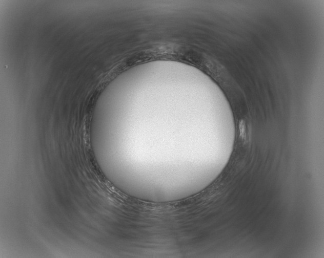 X0000082151203200701191015