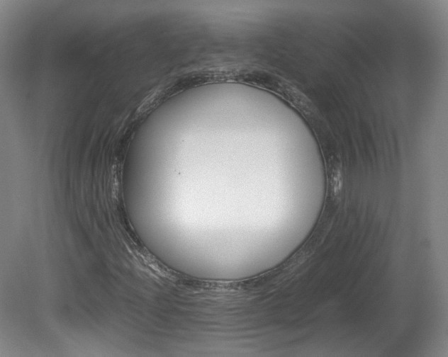 X0000082151204200701191015