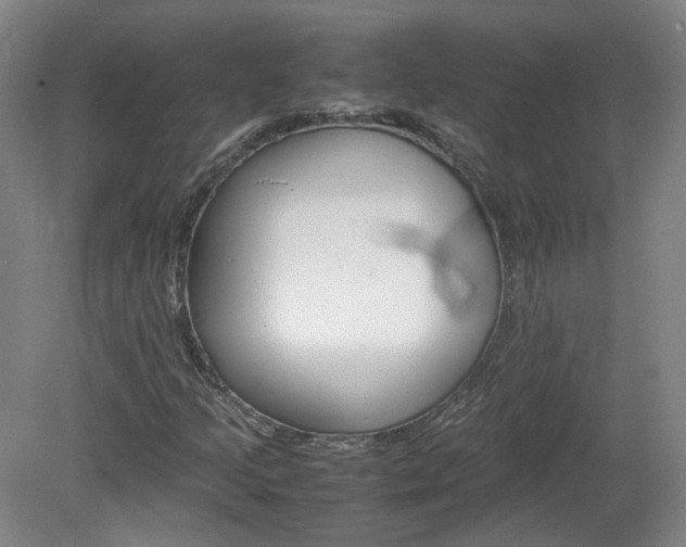 X0000082151205200701191015