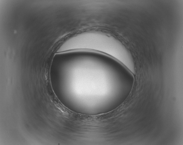 X0000082151206200701191015