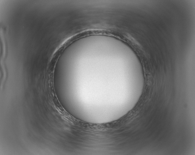 X0000082151208200701191015