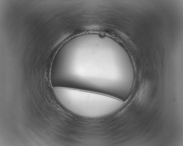 X0000082151209200701191015