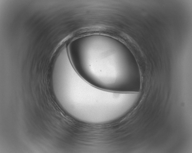 X0000082151210200701191015