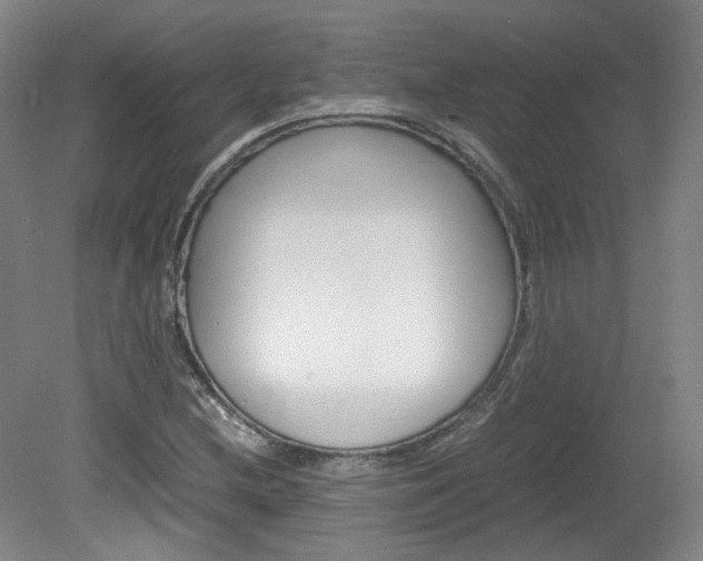 X0000082151212200701191015