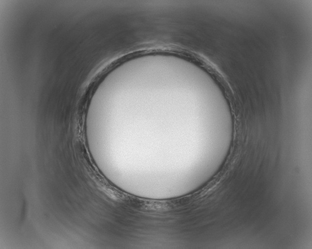 X0000082151215200701191015