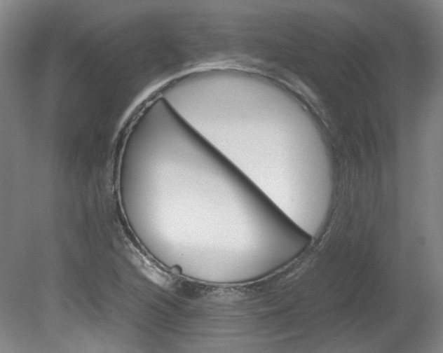 X0000082151216200701191015