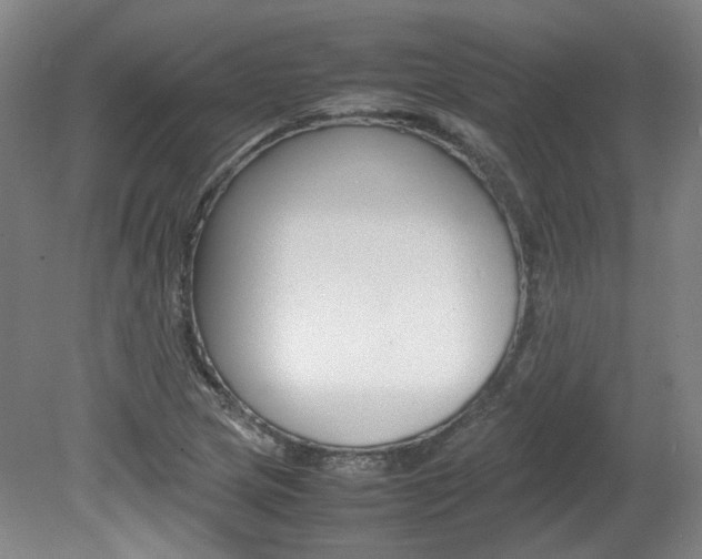 X0000082151217200701191015