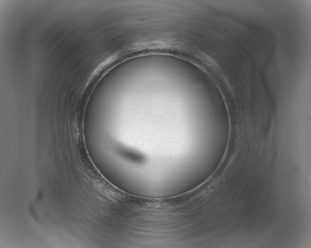 X0000082151218200701191015