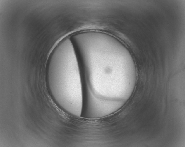 X0000082151220200701191015