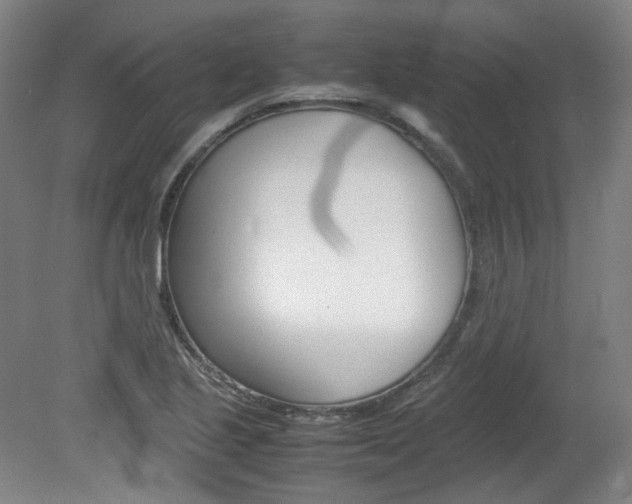 X0000082151221200701191015