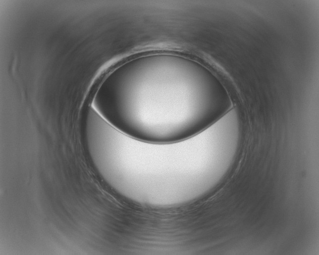 X0000082151222200701191015