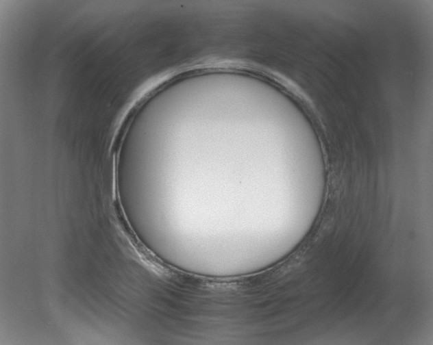 X0000082151223200701191015