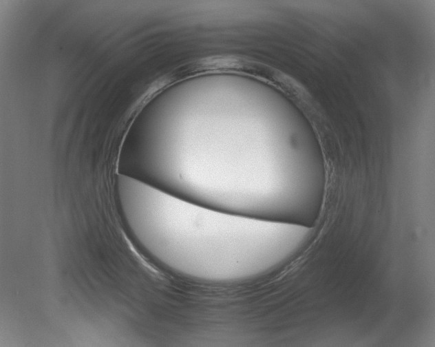 X0000082151225200701191015