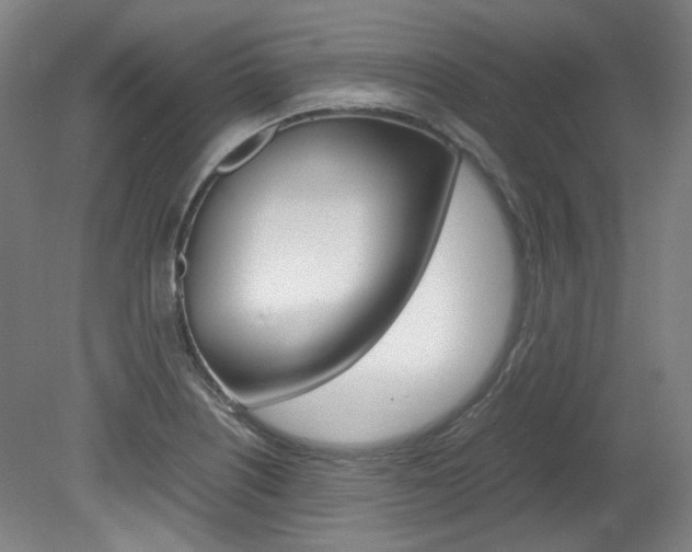 X0000082151226200701191015