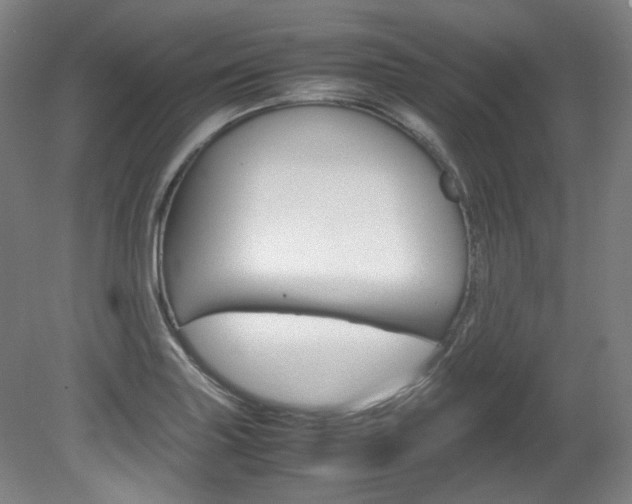 X0000082151227200701191015