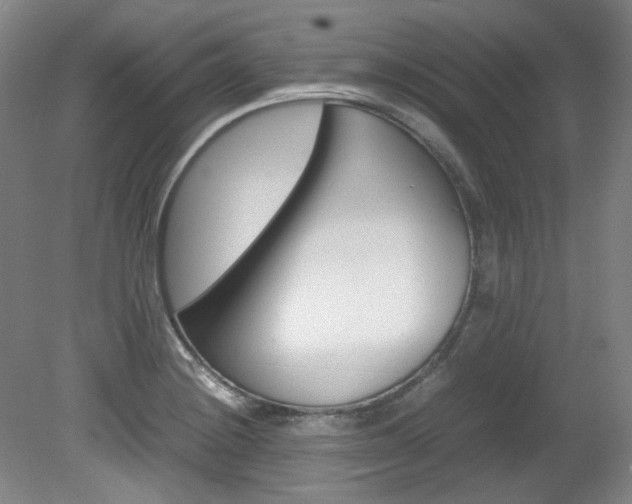 X0000082151228200701191015