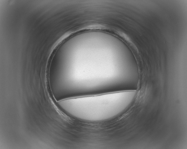 X0000082151229200701191015