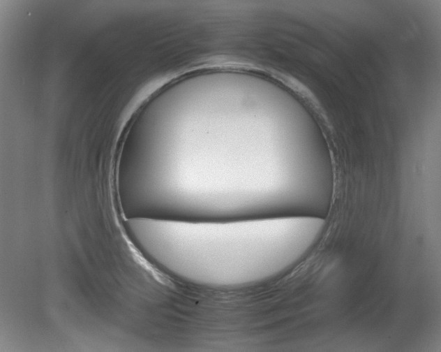 X0000082151231200701191015