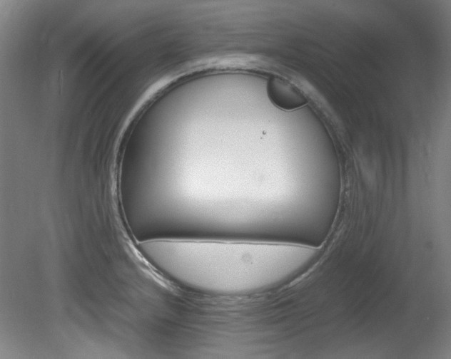 X0000082151232200701191015