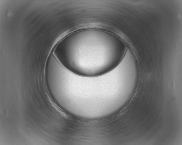 X0000082151234200701191015