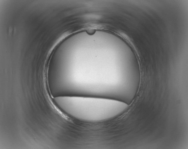 X0000082151235200701191015