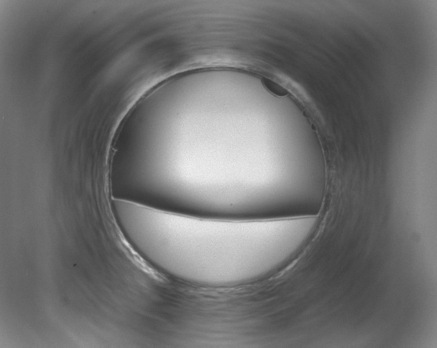 X0000082151236200701191015