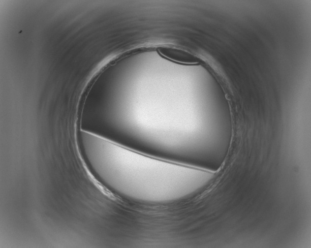 X0000082151237200701191015