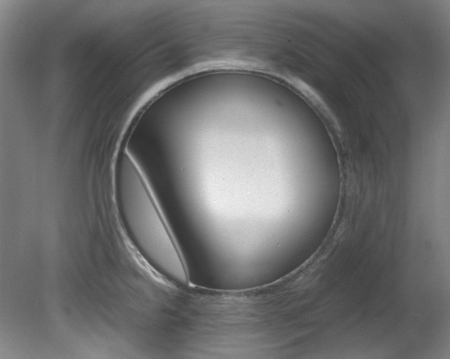 X0000082151238200701191015