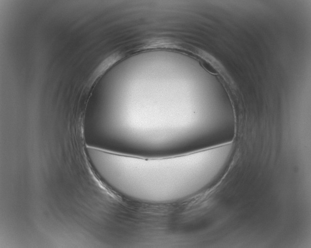 X0000082151241200701191015
